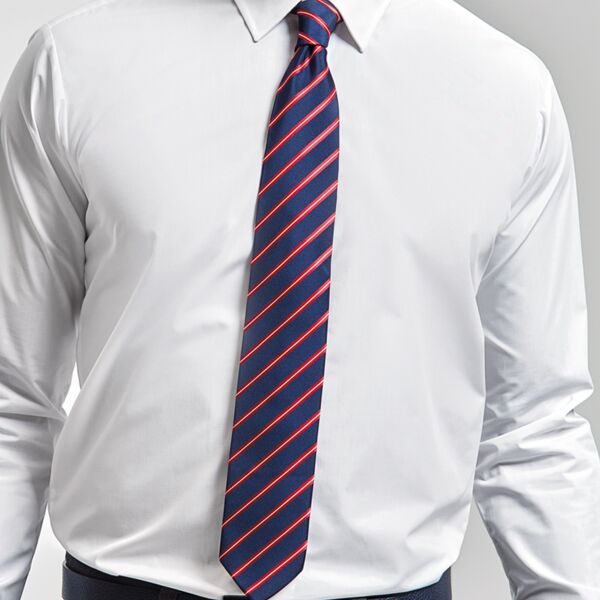 Premier Sports Stripe Tie Thumbnail