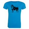 AWDis Ladies Cool T-Shirt Thumbnail