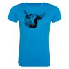 AWDis Ladies Cool T-Shirt Thumbnail