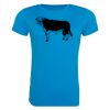 AWDis Ladies Cool T-Shirt Thumbnail