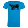 AWDis Ladies Cool T-Shirt Thumbnail