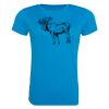 AWDis Ladies Cool T-Shirt Thumbnail