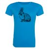 AWDis Ladies Cool T-Shirt Thumbnail