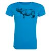 AWDis Ladies Cool T-Shirt Thumbnail