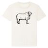 RE-Creator organic cotton t-shirt (STTU787) Thumbnail