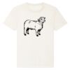RE-Creator organic cotton t-shirt (STTU787) Thumbnail