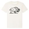 RE-Creator organic cotton t-shirt (STTU787) Thumbnail