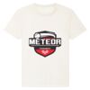 RE-Creator organic cotton t-shirt (STTU787) Thumbnail