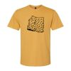 Gildan SoftStyle® Midweight T-Shirt Thumbnail