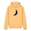 Unisex Cruiser 2.0 iconic hoodie sweatshirt (STSU177) Thumbnail