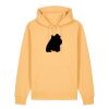 Unisex Cruiser 2.0 iconic hoodie sweatshirt (STSU177) Thumbnail