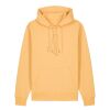 Unisex Cruiser 2.0 iconic hoodie sweatshirt (STSU177) Thumbnail