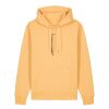 Unisex Cruiser 2.0 iconic hoodie sweatshirt (STSU177) Thumbnail